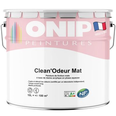 PEINTURE CLEAN'ODEUR MAT 10L - ONIP