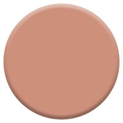 Peinture couleur murs, boiseries et radiateurs Crème de couleur Dulux Valentine rose cuivré satin 2,5L