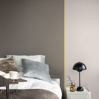 Peinture couleur murs, boiseries et radiateurs Crème de couleur Dulux Valentine terre cendrée satin 1,25L