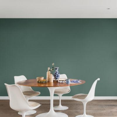 Peinture couleur murs, boiseries et radiateurs Crème de couleur Dulux Valentine vert celadon satin 1,25L