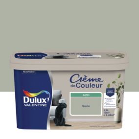 Peinture couleur murs, boiseries et radiateurs Crème de couleur Dulux Valentine vert saule satin 2,5L