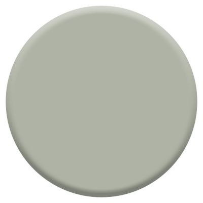 Peinture couleur murs, boiseries et radiateurs Crème de couleur Dulux Valentine vert saule satin 2,5L