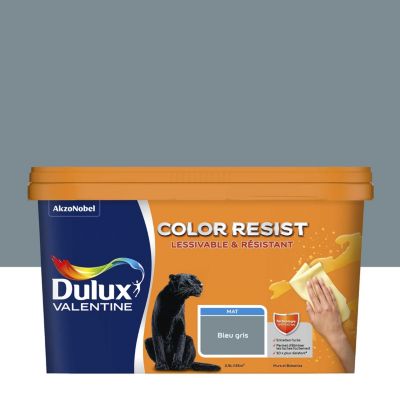 Peinture couleur murs et boiseries color resist Dulux Valentine bleu gris mat 2,5L