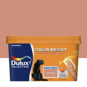 Peinture couleur murs et boiseries color resist Dulux Valentine cuivre rose mat 2,5L