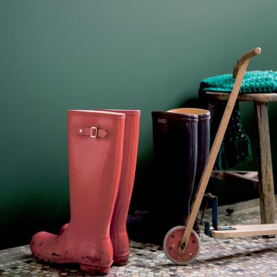 Peinture couleur murs et boiseries color resist Dulux Valentine vert ...