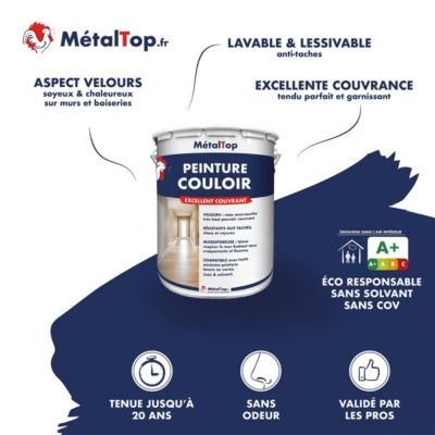 Peinture Couloir - Noir signalisation - RAL 9017 - 5 L - Métaltop