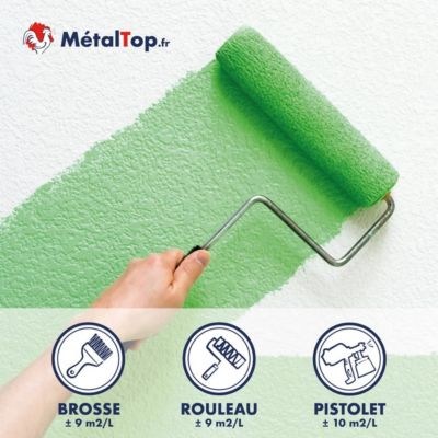 Peinture Couloir - Noir signalisation - RAL 9017 - 5 L - Métaltop