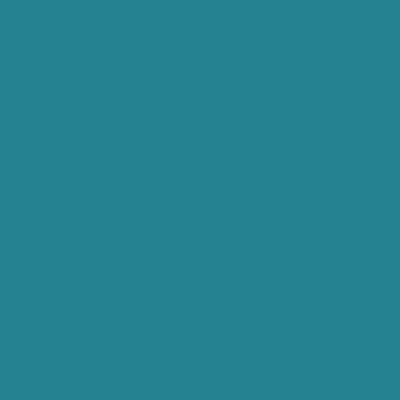 Peinture Crème de Couleur Dulux Valentine mat acapulco 0,5L