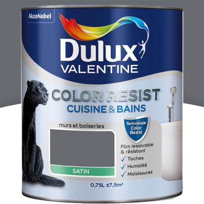 Peinture Cuisine Et Salle De Bain Dulux Valentine Color Resist Anthracite Satin 0 75l Castorama