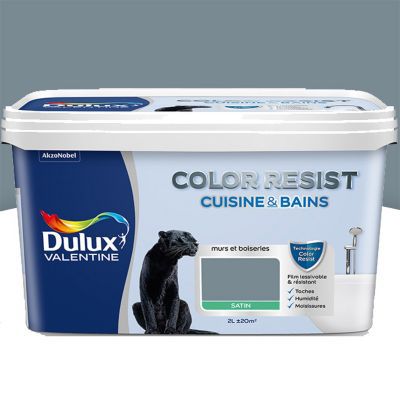 Peinture Cuisine Et Salle De Bain Dulux Valentine Color Resist Bleu Gris Satin 2l Castorama