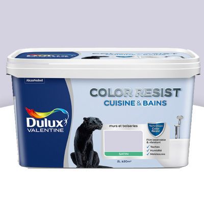 Peinture Cuisine Et Salle De Bain Dulux Valentine Color Resist Ciel De Parme Satin 2l Castorama
