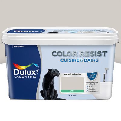 Peinture Cuisine Et Salle De Bain Dulux Valentine Color Resist Galet Satin 2l Castorama