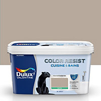 Peinture cuisine et salle de bain Dulux Valentine Color resist gazelle satin 2L