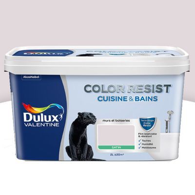 Peinture Cuisine Et Salle De Bain Dulux Valentine Color Resist Rose Nude Satin 2l Castorama