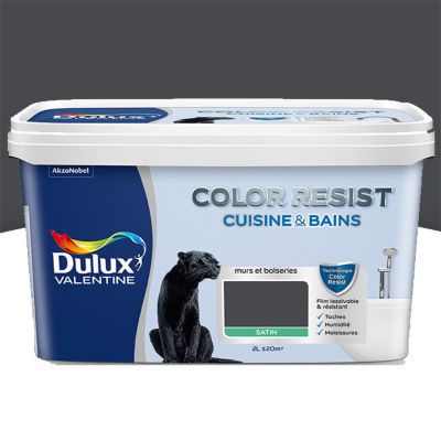 Peinture Cuisine Et Salle De Bain Dulux Valentine Color Resist Smoky Satin 2l Castorama
