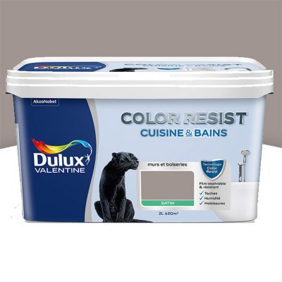 Peinture Cuisine Et Salle De Bain Dulux Valentine Color Resist Terre Cendree Satin 2l Castorama