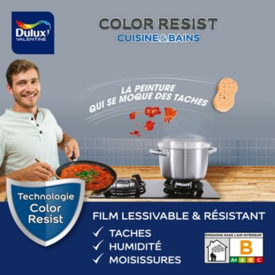 Peinture cuisine et salle de bains Dulux Valentine Color Resist béton gris satin 2L