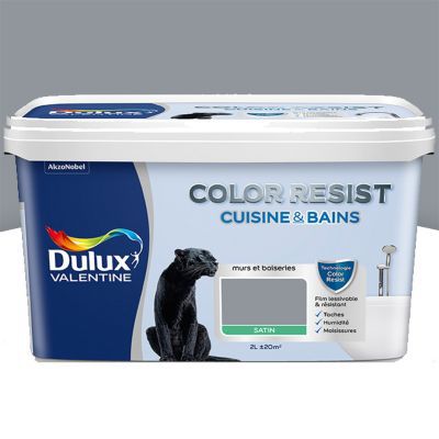 Peinture cuisine et salle de bains Dulux Valentine Color Resist gris building satin 2L