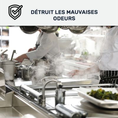 Peinture cuisine lavable, mur et plafondBrun noir - RAL 8022 - 2.5 L - ARCANE INDUSTRIES