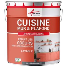 Peinture cuisine lavable, mur et plafondGris Basalte - RAL 7012 - 10 L - ARCANE INDUSTRIES