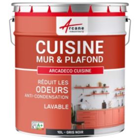 Peinture cuisine lavable, mur et plafondGris Noir - RAL 7021 - 10 L - ARCANE INDUSTRIES