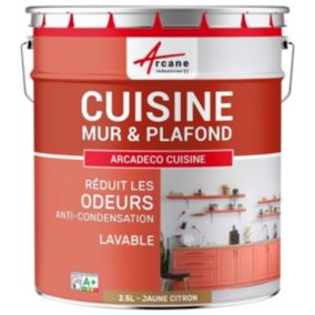 Peinture cuisine lavable, mur et plafondJaune citron - RAL 1012 - 2.5 L - ARCANE INDUSTRIES