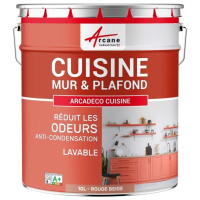 Peinture cuisine lavable, mur et plafondRouge beige - RAL 3012 - 10 L - ARCANE INDUSTRIES