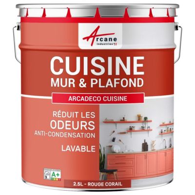 Peinture cuisine lavable, mur et plafondRouge corail -  RAL 3016 - 2.5 L - ARCANE INDUSTRIES