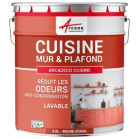 Peinture cuisine lavable, mur et plafondRouge corail -  RAL 3016 - 2.5 L - ARCANE INDUSTRIES