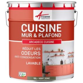 Peinture cuisine lavable, mur et plafondVert jonc - RAL 6013 - 10 L - ARCANE INDUSTRIES