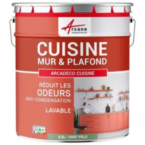 Peinture cuisine lavable, mur et plafondVert Pâle - RAL 6021 - 2.5 L - ARCANE INDUSTRIES