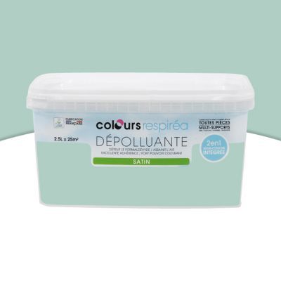 Peinture Depolluante Topaze Satin 2 5l Castorama