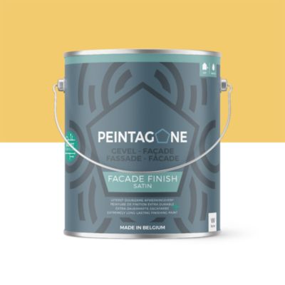 Peinture de finition extra durable pour murs intérieurs & façades - Facade Finish, 2,5 l, Wake Up (PE039)