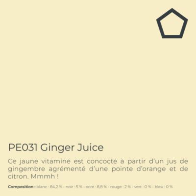 Peinture de finition extra durable pour murs intérieurs & façades - Villa Perfect, 1 l, Ginger Juice (PE031)