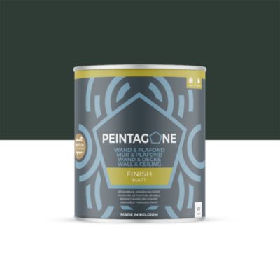Peinture de finition lessivable pour murs & plafonds intérieurs - Finish Matt, 1 l, Green Addict (PE054)