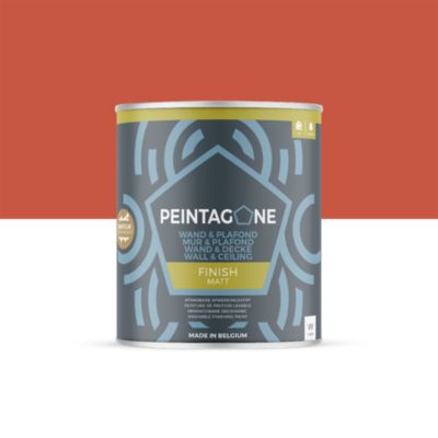 Peinture de finition lessivable pour murs & plafonds intérieurs - Finish Matt, 1 l, Macarena (PE100)