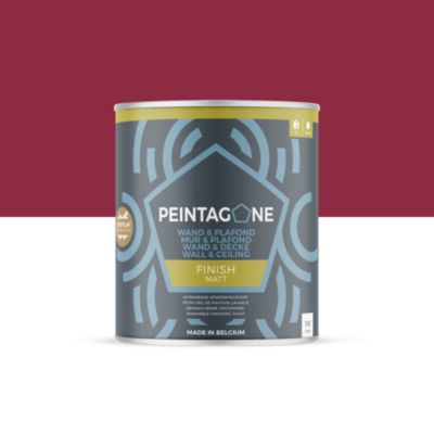 Peinture de finition lessivable pour murs & plafonds intérieurs - Finish Matt, 1 l, Mosaic (PE113)