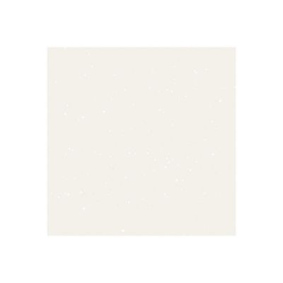Peinture de finition mate paillettée PAILLETT 2L LUX  - ID Paris
