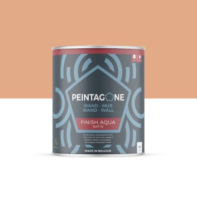 Peinture de finition très lessivable pour murs intérieurs - Finish Aqua Satin, 1 l, Holiday (PE104)