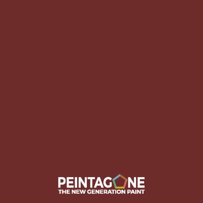 Peinture de finition très lessivable pour murs intérieurs - Finish Aqua Semi-Matt, 1 l, Rock 'n' Roll (PE108)
