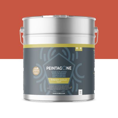 Peinture de finition ultralessivable pour murs et plafonds int. - Finish Gold, 10 l, Macarena (PE100)