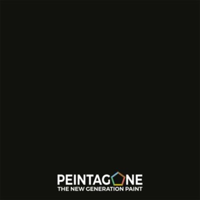 Peinture de finition ultralessivable pour murs et plafonds int. - Finish Gold, 4 l, Intense Black (PE168)
