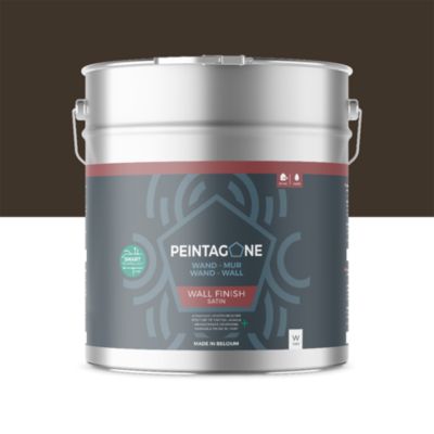 Peinture de finition ultralessivable pour murs int. & ext. - Wall Finish Satin, 10 l, Western (PE017)