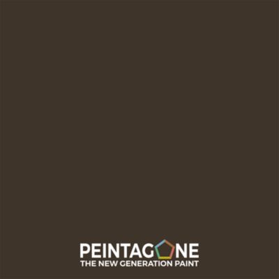 Peinture de finition ultralessivable pour murs int. & ext. - Wall Finish Satin, 10 l, Western (PE017)