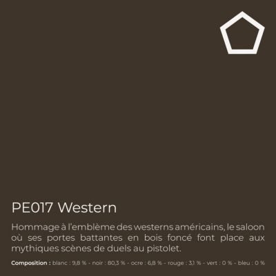 Peinture de finition ultralessivable pour murs int. & ext. - Wall Finish Satin, 10 l, Western (PE017)