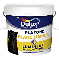 Peinture Dulux Valentine plafonds blanc mat 10L