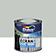 Peinture Ecran+ Fer protection antirouille Dulux Valentine brillant gris clair RAL 7035 250ml