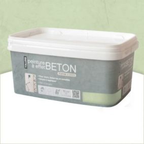 Peinture effet béton Vert 2L