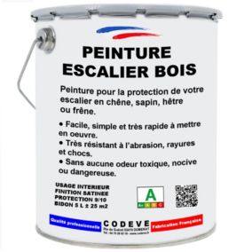 Peinture Escalier Bois -  4x5 L   - Codeve Bois - RAL 1001 - Beige