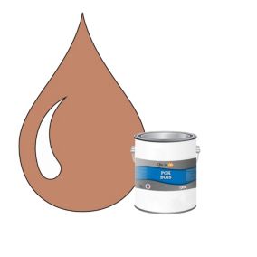 Peinture extérieure bois - Résistante aux intempéries POK BOIS - 1L - RAL 3012 - Rouge Beige - Clic & Pok